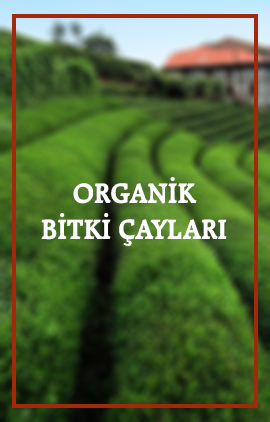 HOŞDERE PEYNİR EVİ & HEDİYELİK Resim - 1