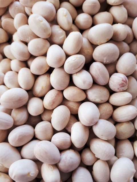 ÇAYELİ FASÜLYESİ İSPİR FASÜLYE 25 KG