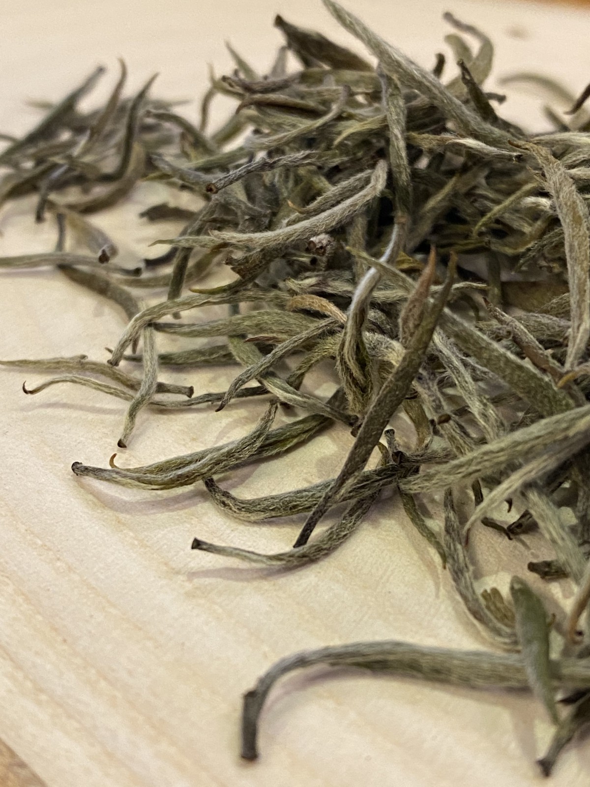 ÇAYKUR BEYAZ ÇAY ( BEYAZ İKSİR) 20GR