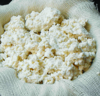 KEBİR Y.YAĞLI LOR PEYNİR 500 GR KEBİR Y.YAĞLI LOR PEYNİR 500 GR