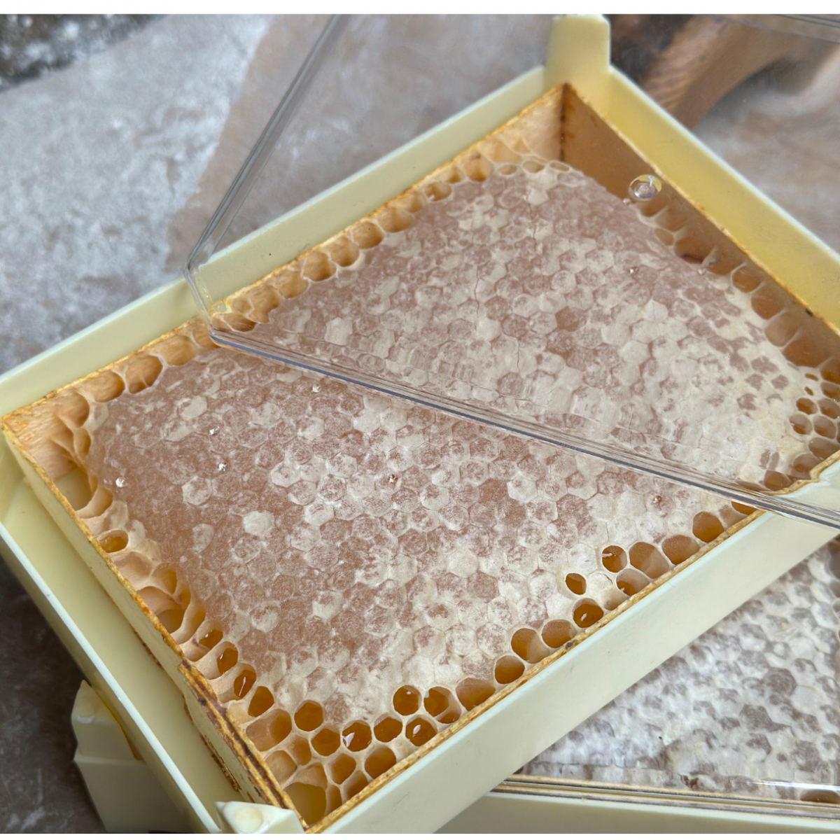 PETEK BAL ÇİÇEK BALI 1000gr PETEK BAL ÇİÇEK BALI 1000gr