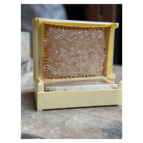 PETEK BAL ÇİÇEK BALI 500 Gr X 20 KUTU PETEK BAL ÇİÇEK BALI 500 Gr X 20 KUTU