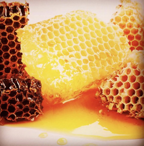 PETEK BAL ÇİÇEK BALI 500 Gr PETEK BAL ÇİÇEK BALI 500 Gr