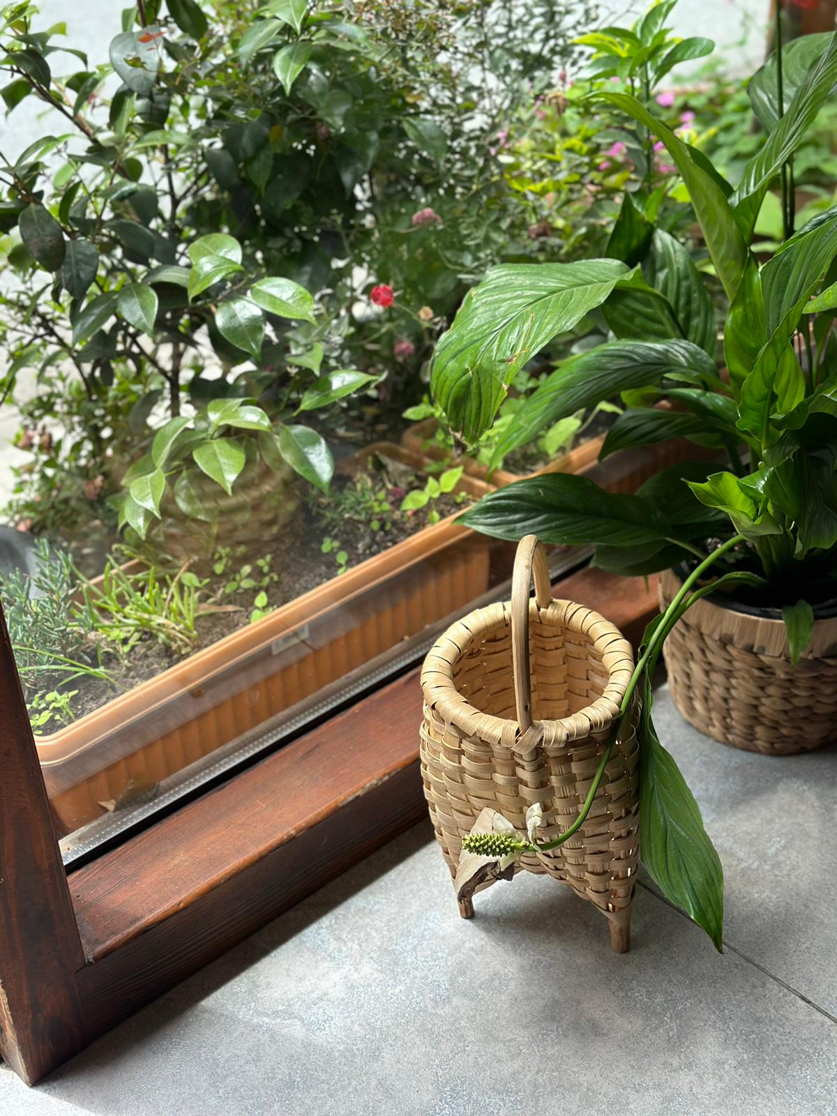 SEPET 3 AYAKLI KESTANE AĞACI  25*17 CM