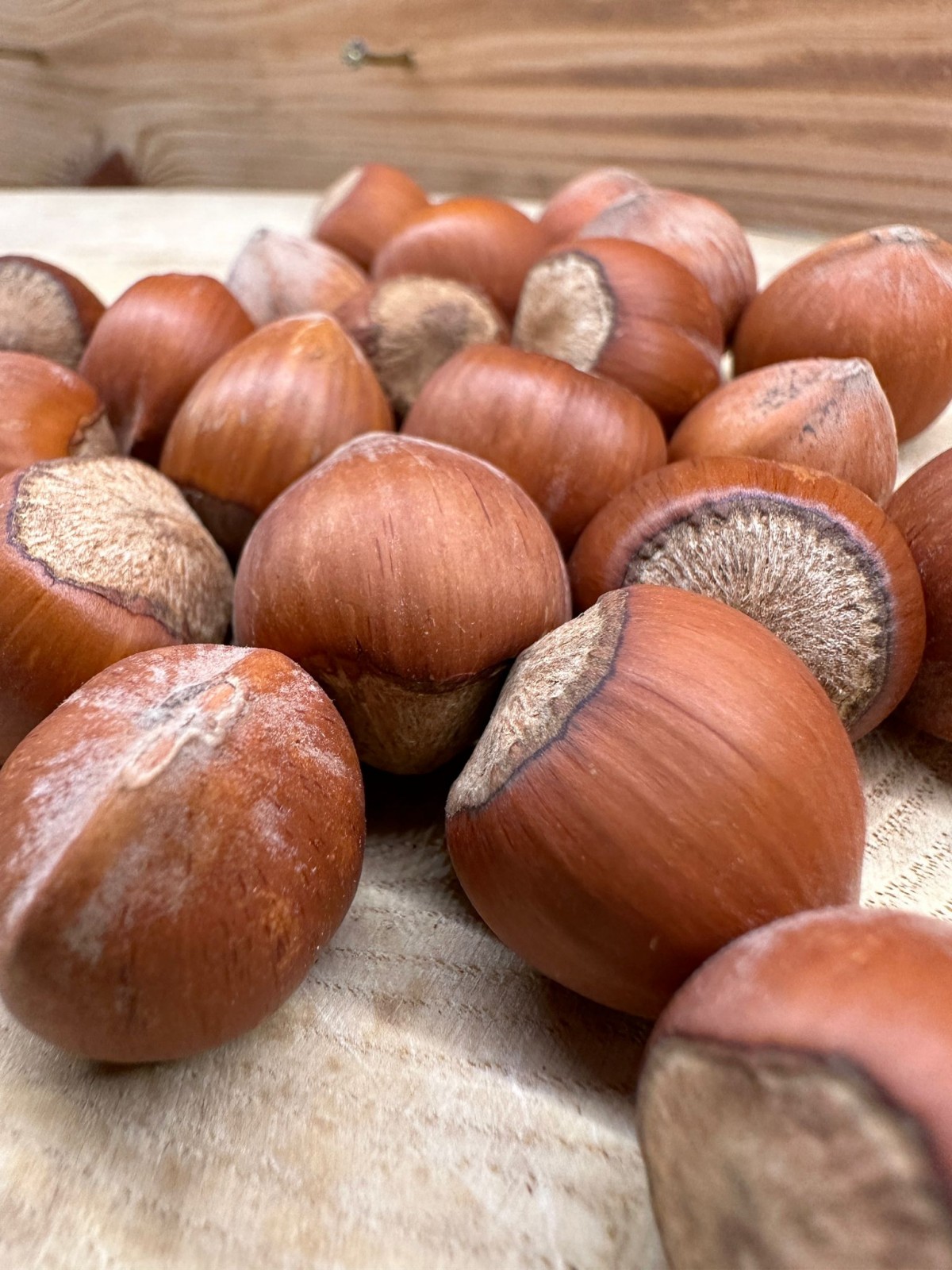 YERLİ KABUKLU TAZE FINDIK 1000gr