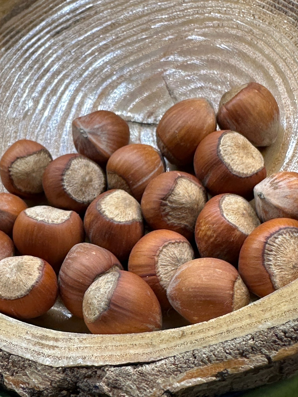 YERLİ KABUKLU  TAZE FINDIK 1000gr