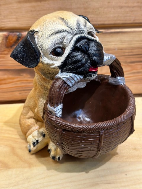 DEKORATİF SAKSI BULLDOG