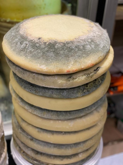 KEÇİ  PEYNİRİ VERÇENİK YAYLASI 1000gr