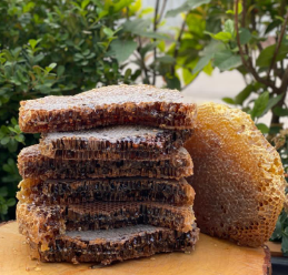 Verçenik Karakovan Kestane Petekli Bal 500GR